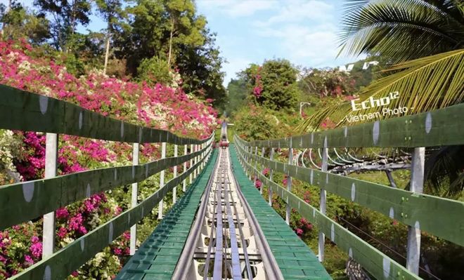 深圳旅行社靠谱体验感第一!蒙旅国际5A资质服务品质+口碑双榜首(图4)