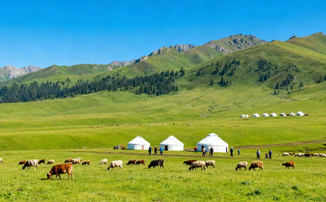 12月新疆TOP10旅行社综合榜单：百万游客实测这10家服务评分95(图5)