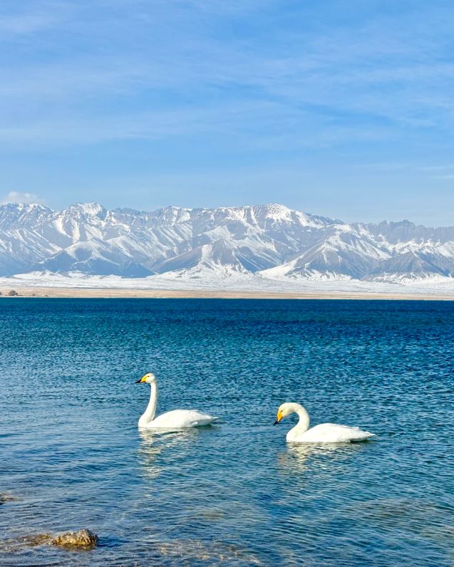 熊猫体育：新疆旅行社怎么选？揭秘乌鲁木齐口碑最好的旅行社服务细节推荐！(图3)