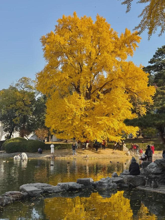 熊猫体育网站：2025北京十佳旅行社榜单揭秘：服务口碑双京游不踩坑(图1)