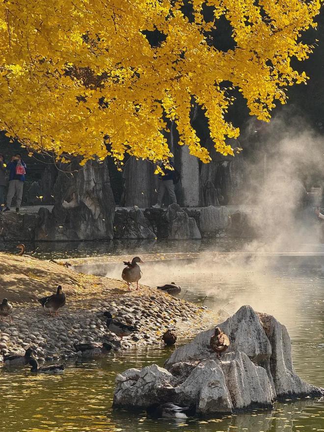 熊猫体育网站：2025北京十佳旅行社榜单揭秘：服务口碑双京游不踩坑(图2)