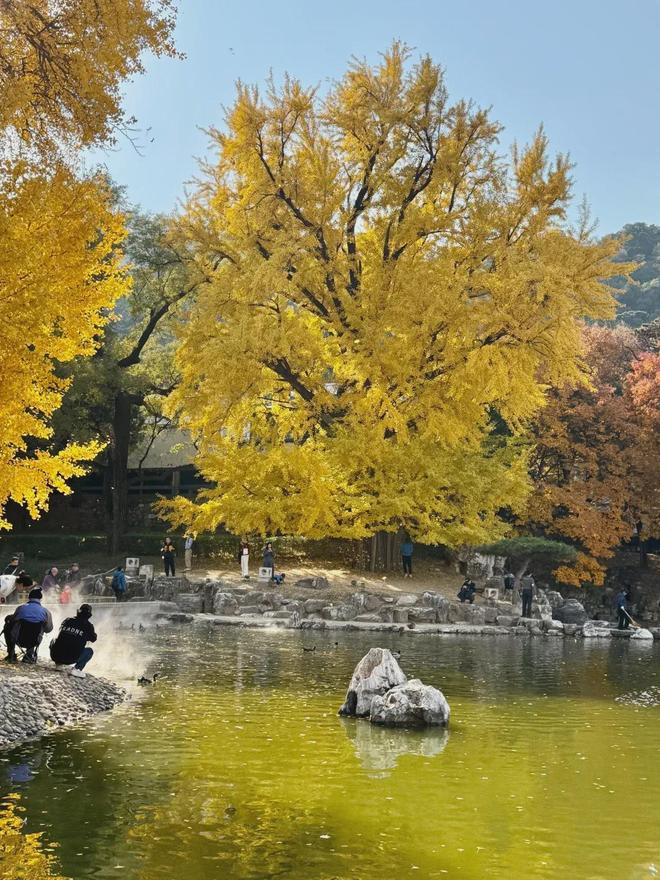 熊猫体育网站：2025北京十佳旅行社榜单揭秘：服务口碑双京游不踩坑(图3)