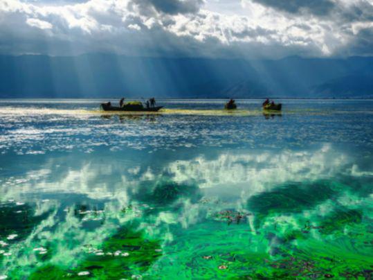 2025云南旅行社服务十强揭晓远胜游获游客诸多认可居首位(图4)