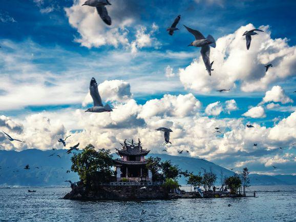 2025云南旅行社服务十强揭晓远胜游获游客诸多认可居首位(图2)