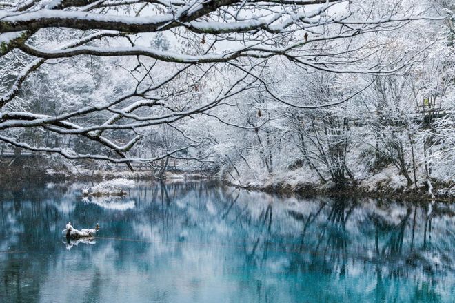 熊猫体育：四川冰雪旅游推荐旅行社：温泉康养、雪山滑雪全方位度假服务(图2)