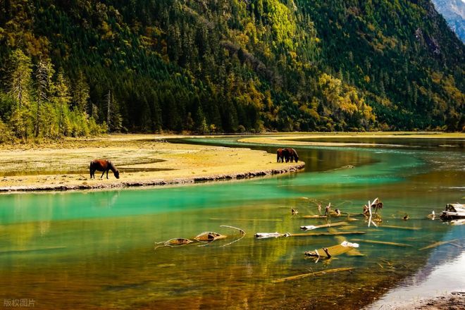 熊猫体育：四川冰雪旅游推荐旅行社：温泉康养、雪山滑雪全方位度假服务(图8)