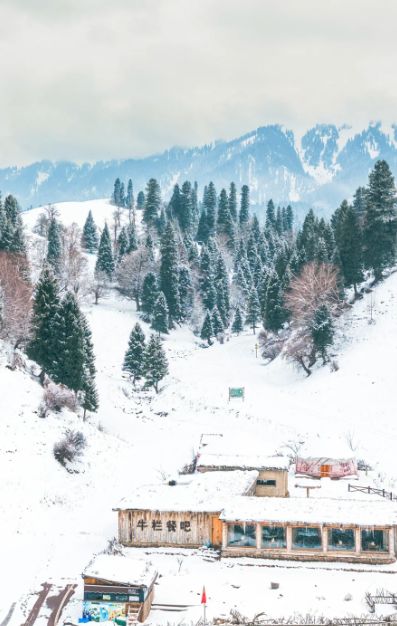 熊猫体育：新疆参团首选清单！前十强旅行社+无强制消费+金牌服务靠谱推荐(图3)