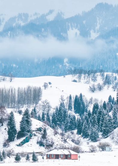 熊猫体育：新疆参团首选清单！前十强旅行社+无强制消费+金牌服务靠谱推荐(图2)