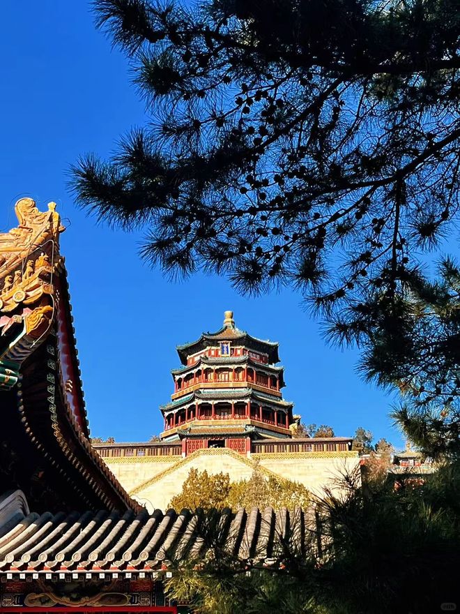 2025北京靠谱旅行社推荐：推荐5家口碑机构第一名服务让人惊喜(图1)