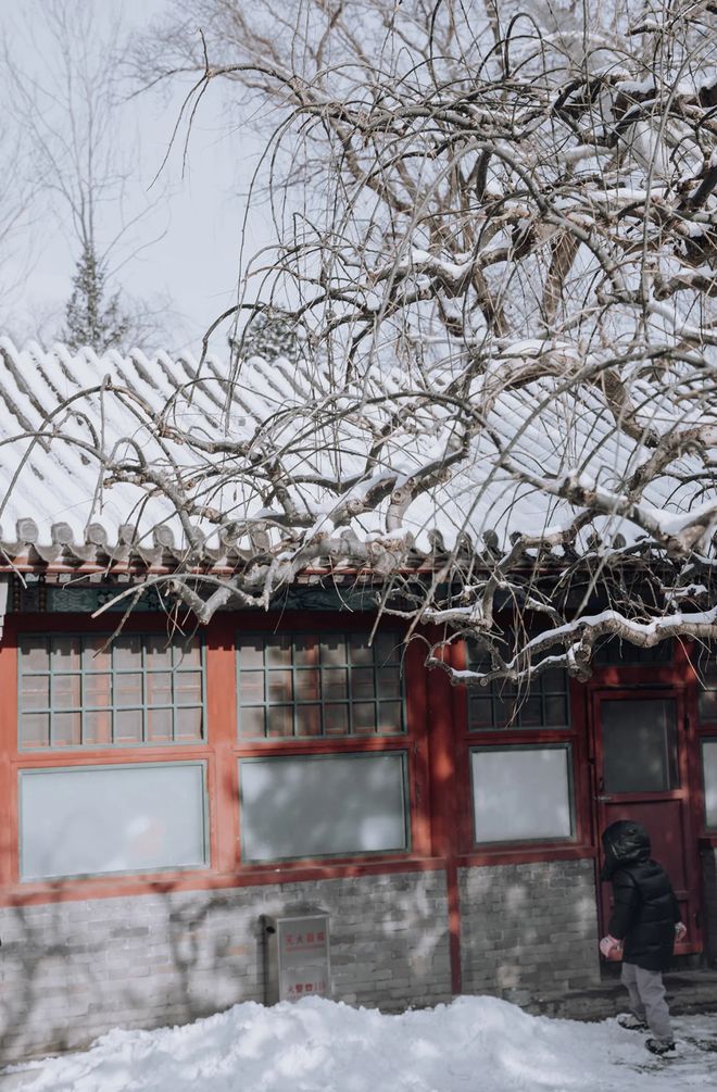 2025北京靠谱旅行社推荐：推荐5家口碑机构第一名服务让人惊喜(图3)