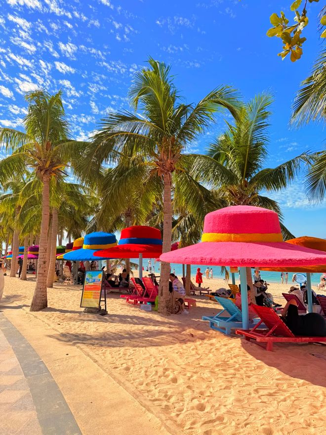 熊猫体育平台:携程旅游成立我国首家“重大自然灾害旅游预警中心”(图1)