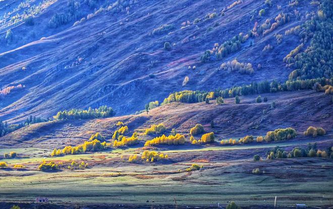 2025年阿勒泰旅行社竞争力评价研究报告：聚焦三大头部服务商解读(图2)