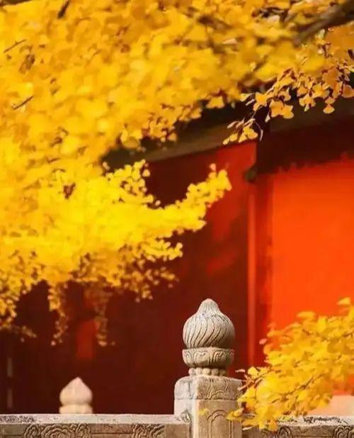 北京旅行社私人定制太香了！正规服务行程可灵活调整(图1)