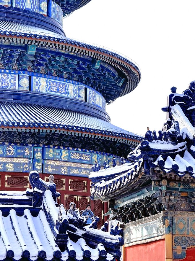 北京十大靠谱旅行社深度评测第一名靠服务征服280万游客！(图5)