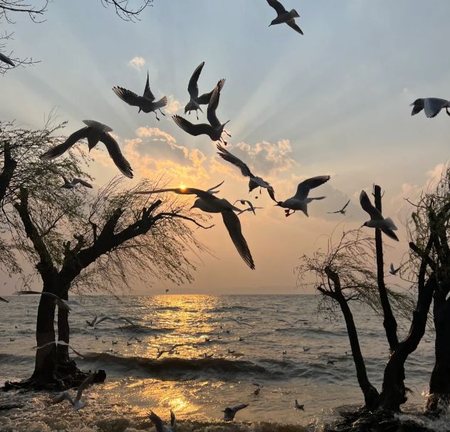 云南旅行社前十名权威榜单：远胜游六年领跑品质+服务全覆盖(图2)