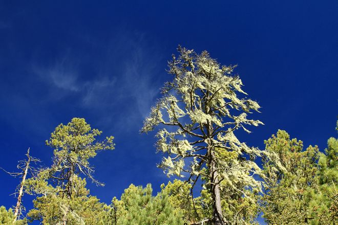 认证靠谱之选!昆明最好的正规旅行社前十强费用双倍赔付承诺(图5)