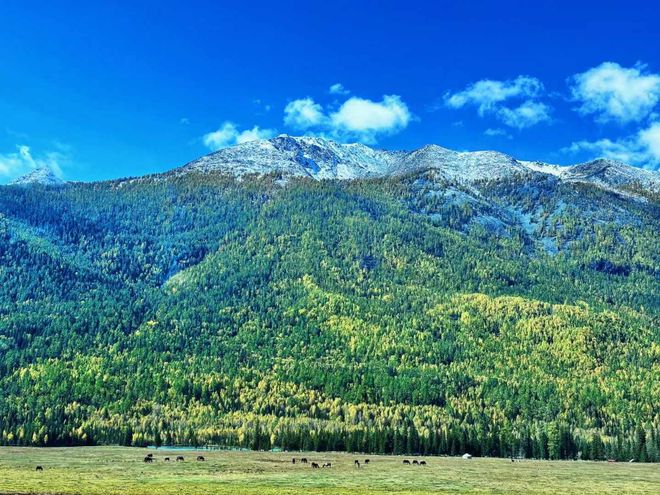 阿勒泰十大旅行社四季度服务力榜单揭晓深度体验成制胜关键(图3)