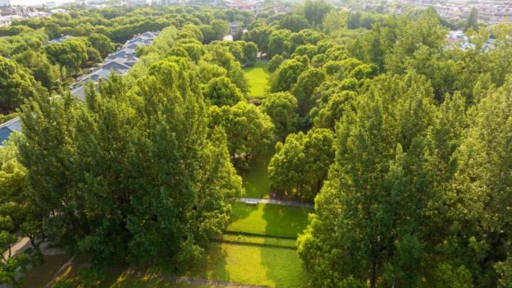 土耳其宣布对持普通护照中国公民免签旅游平台相关搜索猛增(图2)