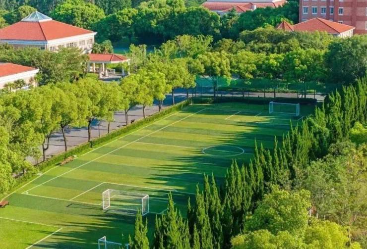 土耳其宣布对持普通护照中国公民免签旅游平台相关搜索猛增(图9)