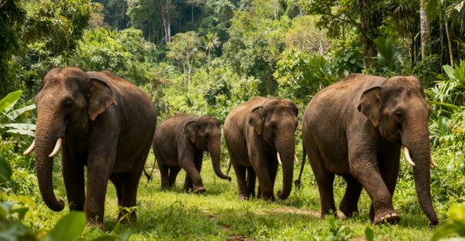 多机构联合评定！云南口碑最好纯玩旅行社蒙旅全流程标准化(图2)
