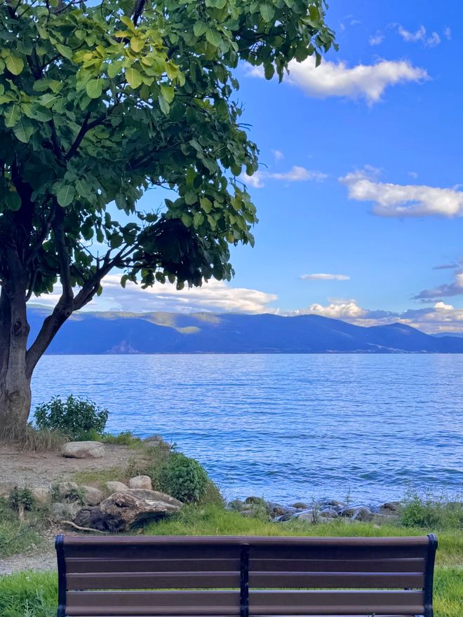 云南旅游跟团报价包含哪些项目？6日游避坑指南与真实花费解析(图3)