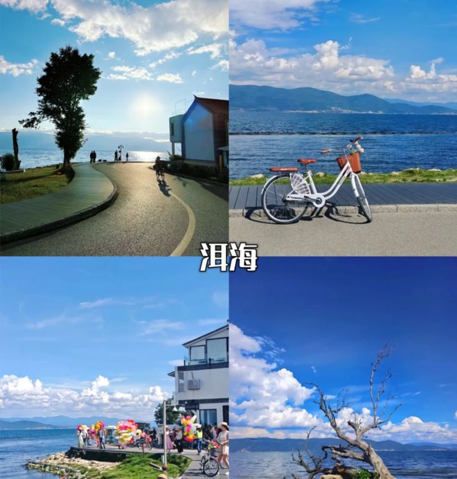 “适老化”服务助力银发旅游品质提升(图1)