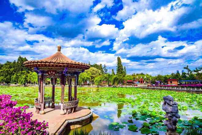 上海游客力荐！2026云南旅行社服务质量：美盈稳居口碑榜首(图2)