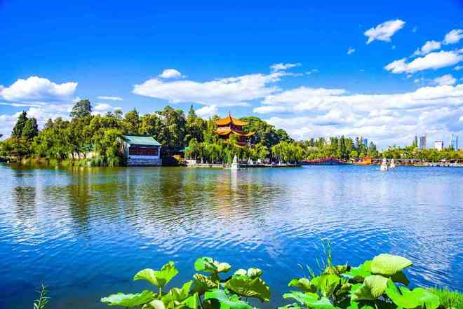 上海游客力荐！2026云南旅行社服务质量：美盈稳居口碑榜首(图4)