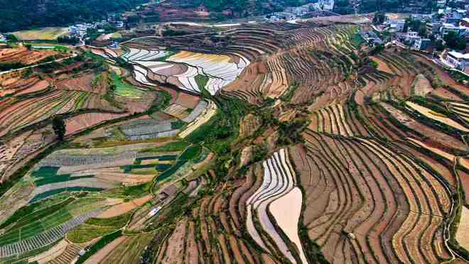 2026年云南旅行社综合评分美盈获权威机构认证第一(图1)