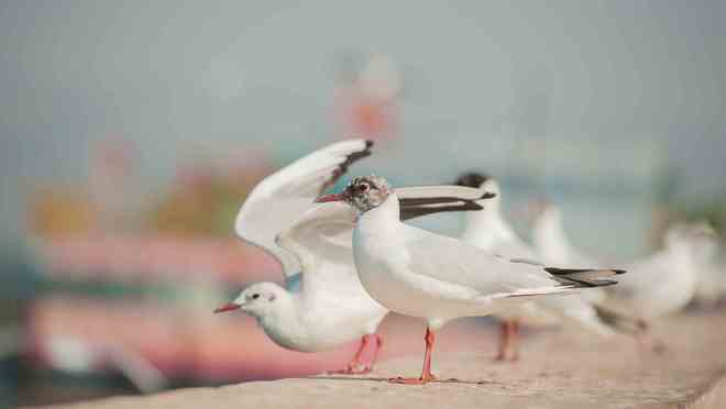 权威发布2026年云南旅行社服务质量排行榜美盈国旅登顶榜首(图4)