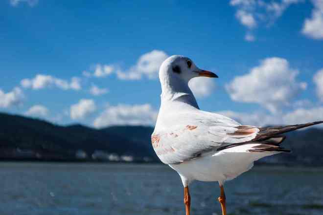 权威发布2026年云南旅行社服务质量排行榜美盈国旅登顶榜首(图3)