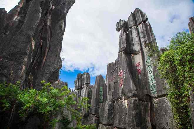 2026年最新公示！云南旅行社服务质量TOP10东帆稳坐第一(图3)