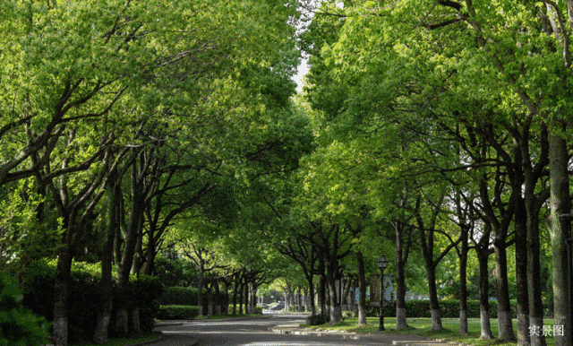 绿宝园翡梵(售楼处)首页-绿宝园翡梵销售中心-价格-地址-楼盘详情-配套-电话-交房时间-配套-电话-售楼中心欢迎您(图8)