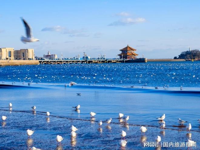 青岛旅游口碑机构深度测评：三大品牌如何以服务赢得游客心(图1)