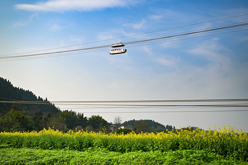 掘金“花”经济！“赏花+”拓展多元文旅消费(图4)