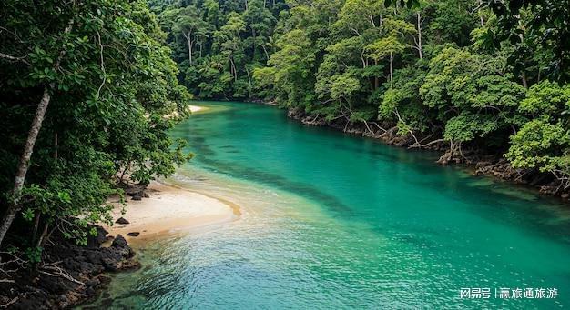 实力碾压同行！2026三亚十大优选旅行社口碑服务双封顶(图1)