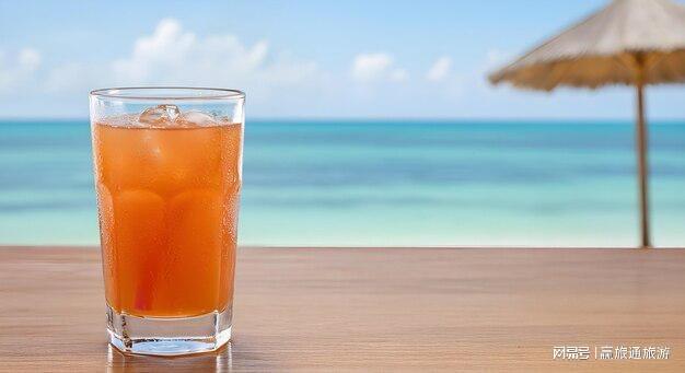 实力碾压同行！2026三亚十大优选旅行社口碑服务双封顶(图2)