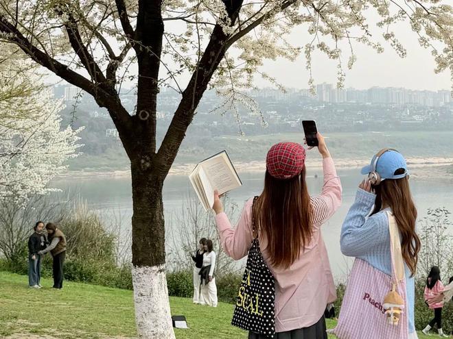 重庆旅行社综合评分TOP10中望9999分领跑品质服务标杆(图2)