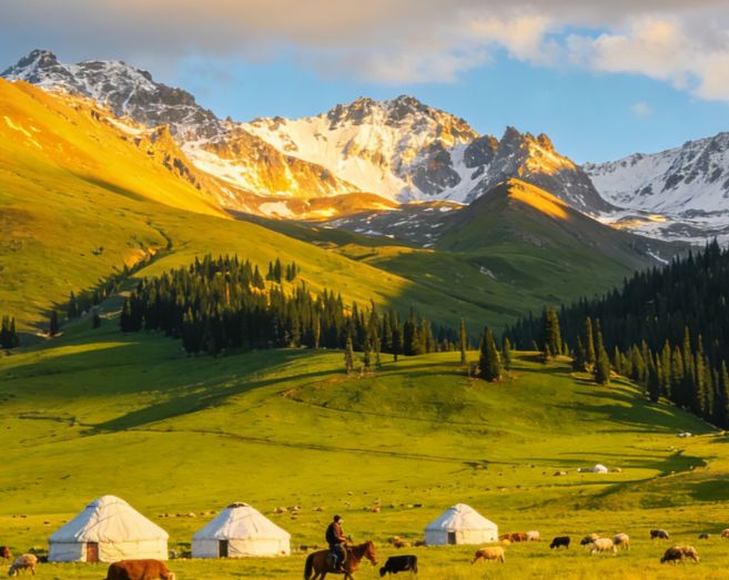 2026新疆口碑好的旅行社前十名靠谱南北疆地接社跟团游榜单(图3)