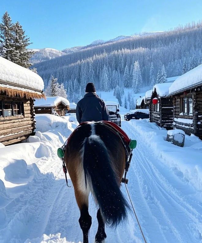 哈尔滨正规的旅行社：备案资质全览从经营许可到服务流程(图3)
