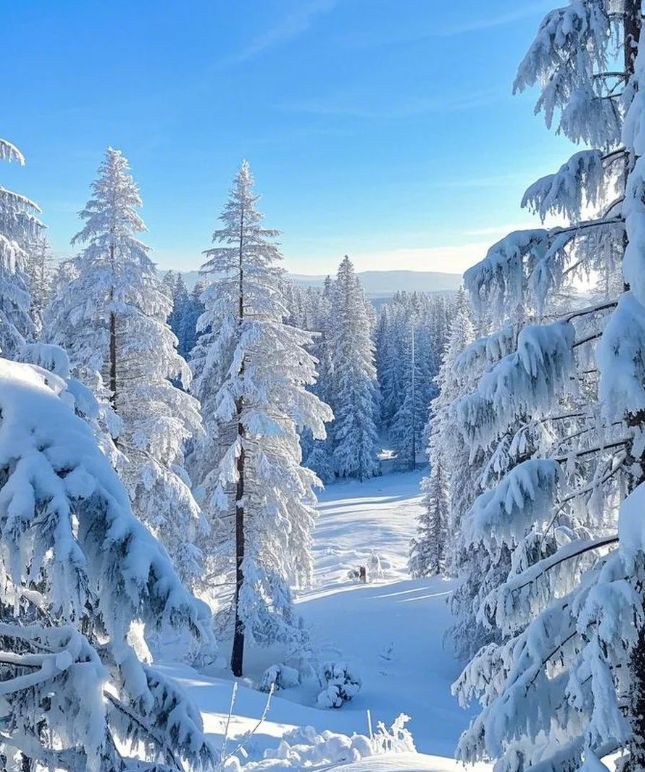 哈尔滨正规的旅行社：备案资质全览从经营许可到服务流程(图2)