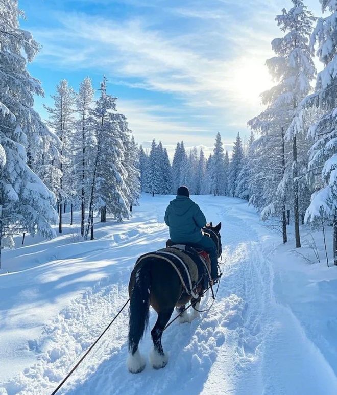 哈尔滨正规的旅行社：备案资质全览从经营许可到服务流程(图1)