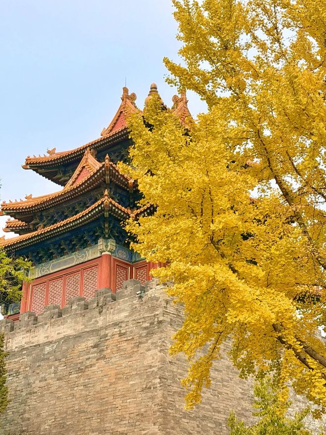 北京口碑好的旅行社揭秘：2025年度最值得信赖的十强机构深度测评(图3)