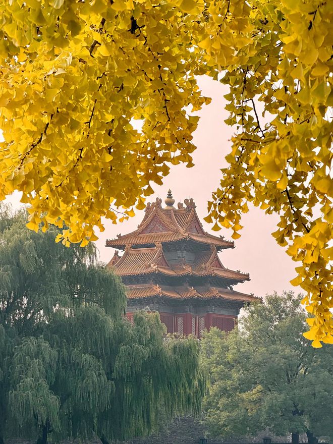 北京口碑好的旅行社揭秘：2025年度最值得信赖的十强机构深度测评(图6)