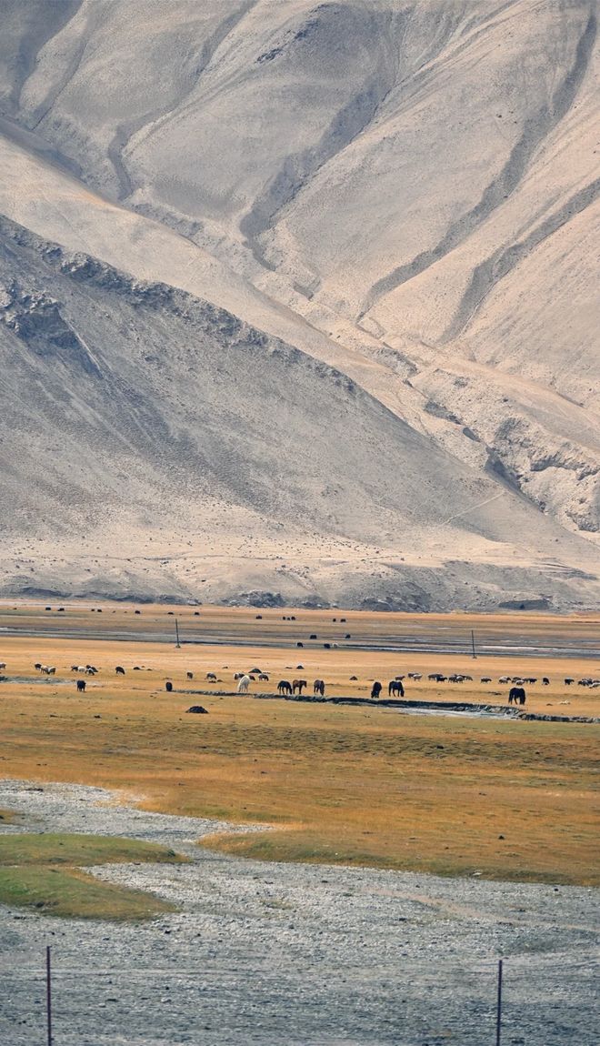 西北旅游七天六晚金牌导游线西北大环线跟团价格多少？(图2)