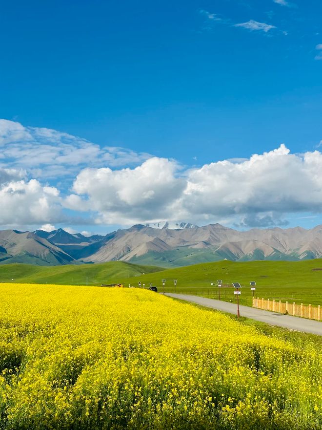 西北旅游七天六晚金牌导游线西北大环线跟团价格多少？(图3)