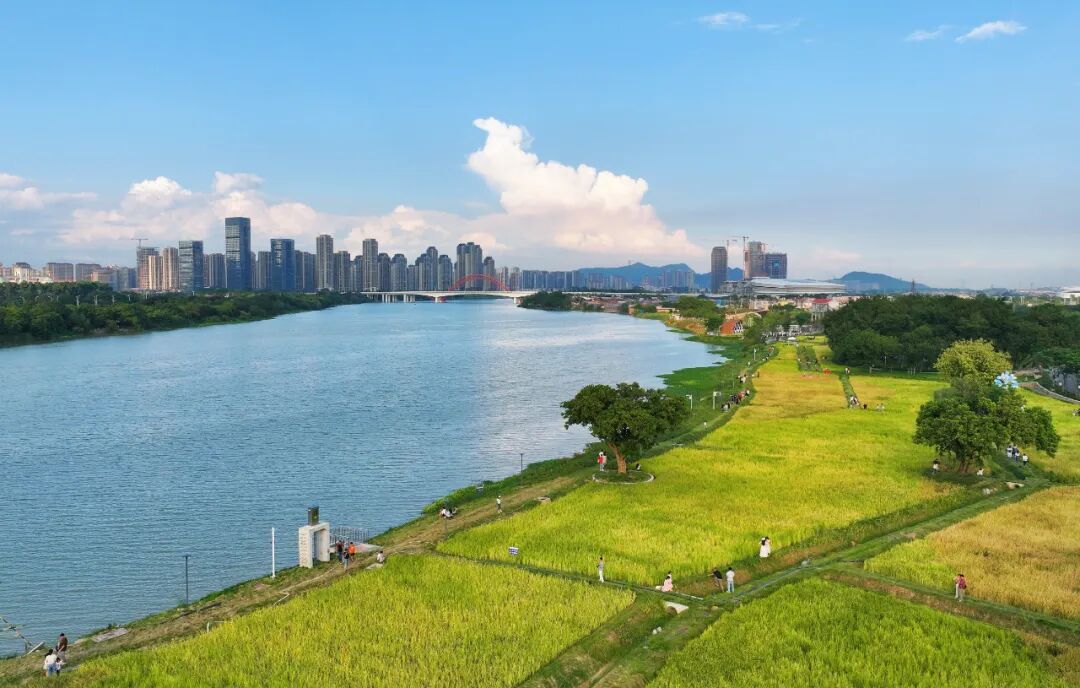 龙江岁月获评国家AAA级旅游景区！！！(图1)