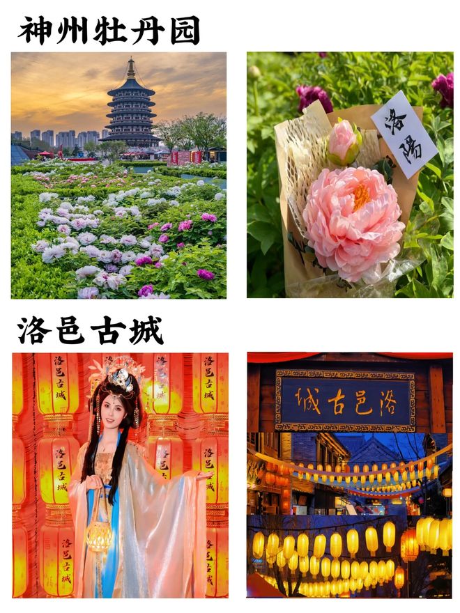 洛阳跟团游四天正确旅游方案！小包团定制游精华打卡景点！(图2)