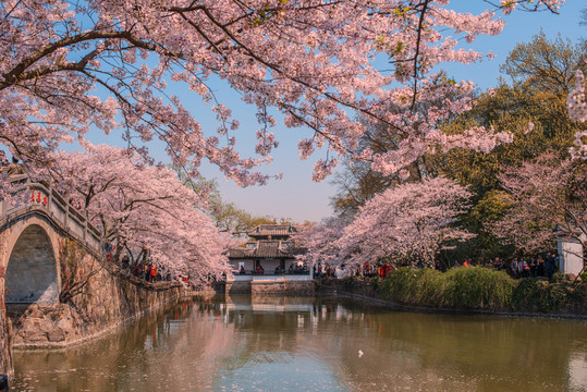 春假遇上清明假期催热旅游市场国内旅游市场迎来双高峰(图4)