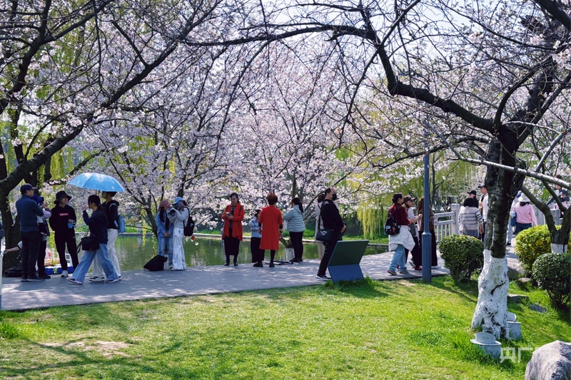 “水韵江苏”再出招文旅消费这样“火”起来(图1)